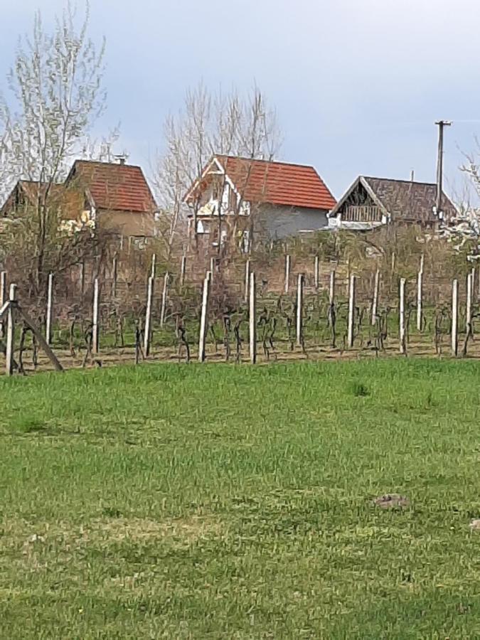 Grapeline Guesthouse Chotin Exteriér fotografie