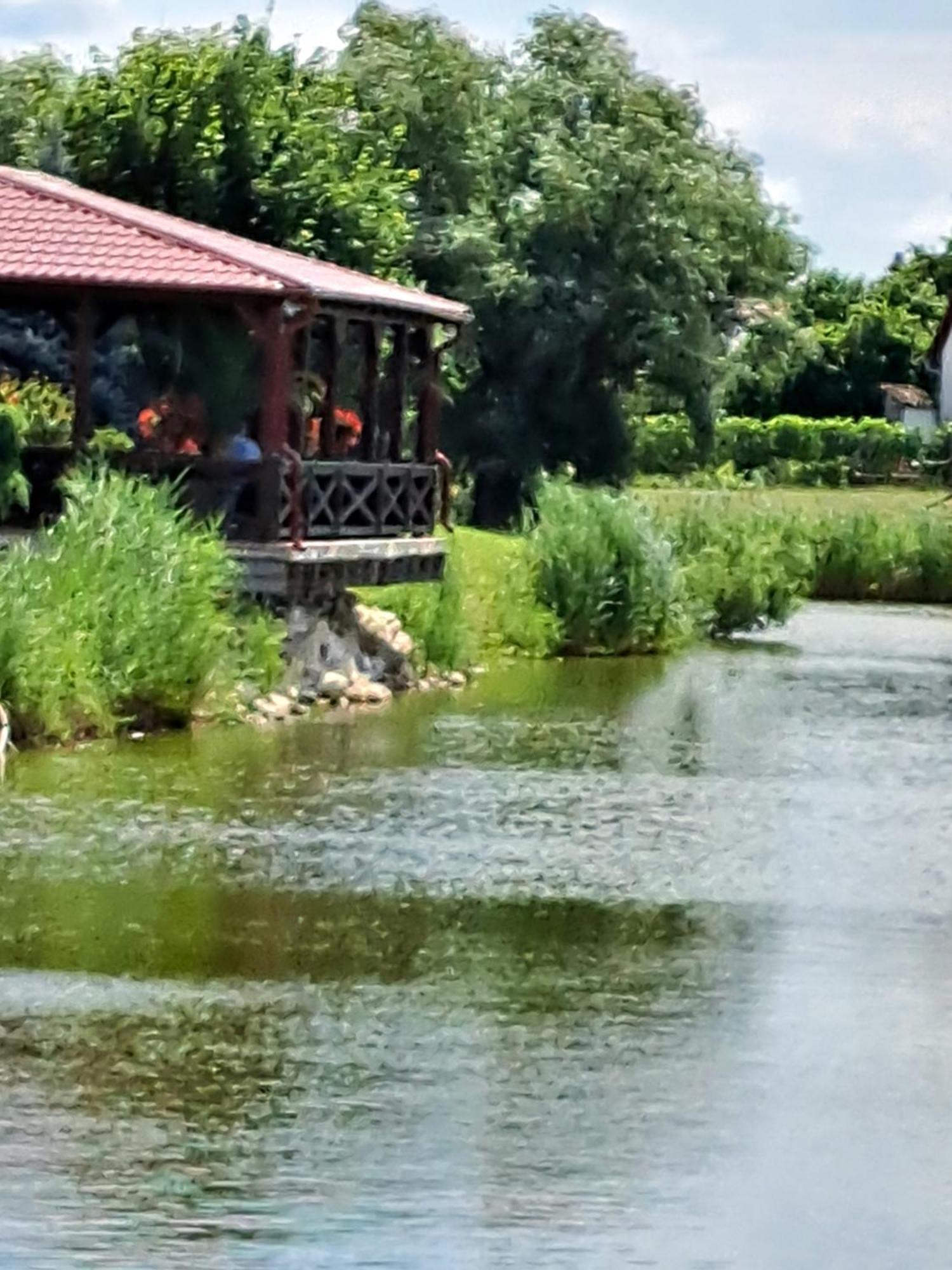 Grapeline Guesthouse Chotin Exteriér fotografie